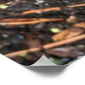 Lila Wonder Tulip Poster (Hoek)