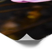 Lila Wonder Tulip Poster (Hoek)