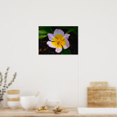 Lila Wonder Tulip Poster (Keuken)