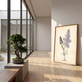 Lilac Botanische Studie Canvas Kunst Poster