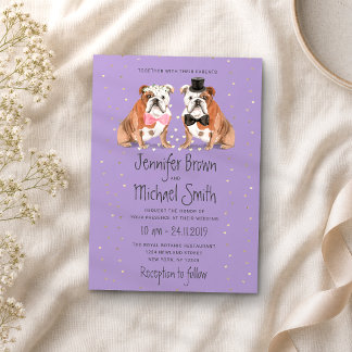 Lilac Engelse Bulldog Trouw Honden Kaart