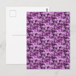 Lilac Foto | Getegeld Halve Drop |  Briefkaart
