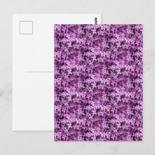 Lilac Foto   Getegeld Halve Drop    Briefkaart