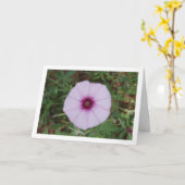 Lilac Morning Glory, Kaardenbol Winde Wilde Bloem Kaart (Gele Bloem)