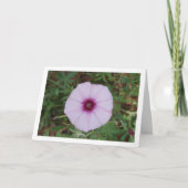 Lilac Morning Glory, Mallow Bindweed Wilde Bloem Kaart (Voorkant)