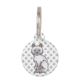 Lilac Point Birman / Ragdoll Kat & Huisdier Info Huisdierpenning