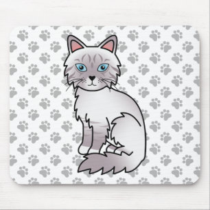 Lilac Point Tabby Birman / Ragdoll Mooie Kat & Poo Muismat