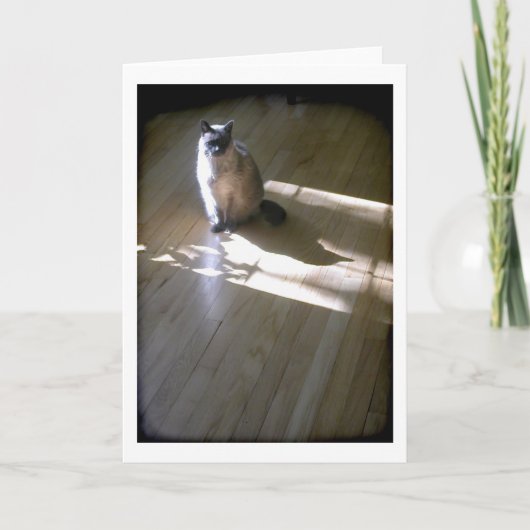 Lilac pointed Siamese kat in de zon Kaart (Voorkant)