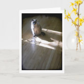 Lilac pointed Siamese kat in de zon Kaart (Gele Bloem)