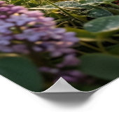 Lilac Rabbit Morning Meadow Poster (Hoek)