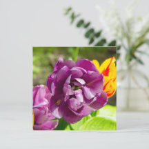 Lilac tulpen op een zonnige dag