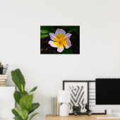 Lilac Wonder Tulp, Poster (Thuiskantoor)