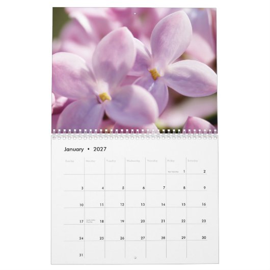 Lilacs 2013 (12 maanden) kalender (Jan 2027)