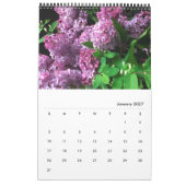 Lilacs-ALLE LILACS!  fotokalender Kalender (Jan 2027)