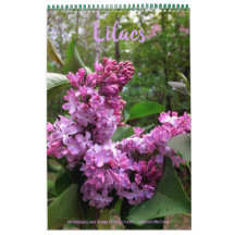 Lilacs-ALLE LILACS! fotokalender