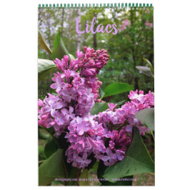Lilacs-ALLE LILACS! fotokalender Kalender