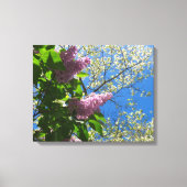 Lilacs and Cherry Blossom - Martha's Vineyard Canvas Afdruk (Voorkant)