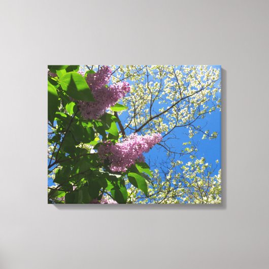 Lilacs and Cherry Blossom - Martha's Vineyard Canvas Afdruk (Voorkant)
