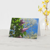 Lilacs and Cherry Blossom - Martha's Vineyard Kaart (Gele Bloem)