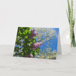 Lilacs and Cherry Blossom - Martha's Vineyard Kaart