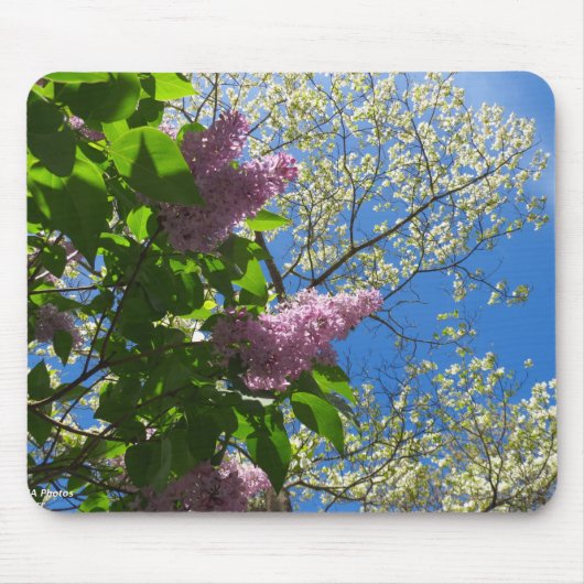 Lilacs and Cherry Blossom - Martha's Vineyard Muismat (Voorkant)