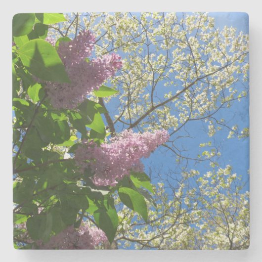 Lilacs and Cherry Blossom - Martha's Vineyard Stenen Onderzetter (Voorkant)