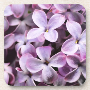  Lilacs Bier Onderzetter