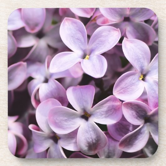  Lilacs Bier Onderzetter (Voorkant)