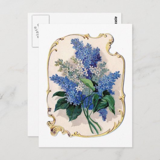  Lilacs Briefkaart (Voorkant / Achterkant)