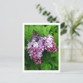 Lilacs Briefkaart (Staand voorkant)
