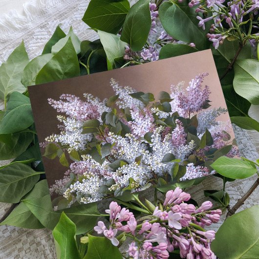  Lilacs Briefkaart