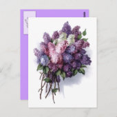  Lilacs Briefkaart (Voorkant / Achterkant)