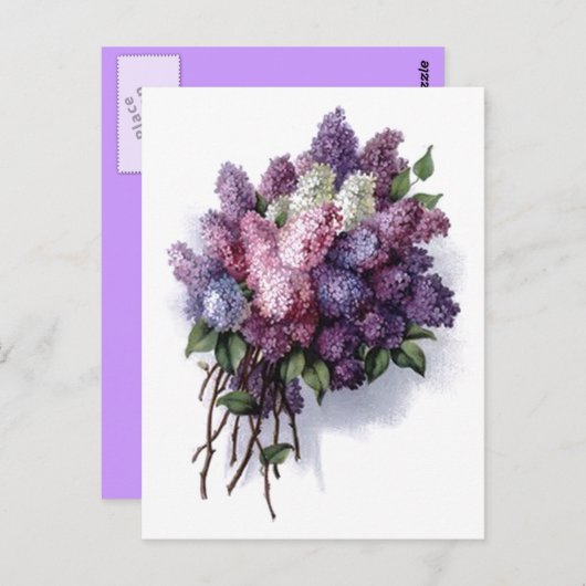  Lilacs Briefkaart (Voorkant / Achterkant)