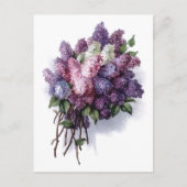  Lilacs Briefkaart (Voorkant)