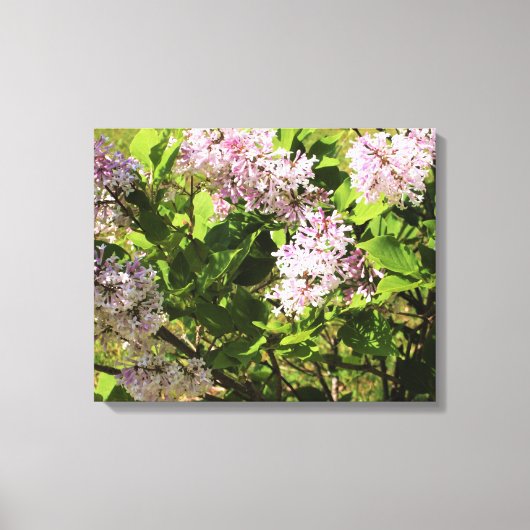 Lilacs Canvas Afdruk (Voorkant)