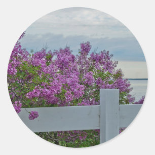 Lilacs door het water ronde sticker