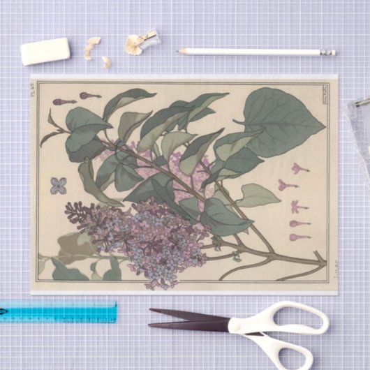 Lilacs, Eugene Grasset Botany reeks Tissuepapier (Craft)