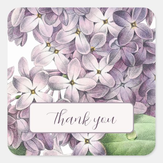 lilacs florale stickers (Voorkant)