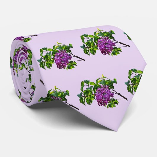 Lilacs gaat net open stropdas (Opgerold)