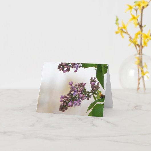 Lilacs in de lente kaart (Gele Bloem)