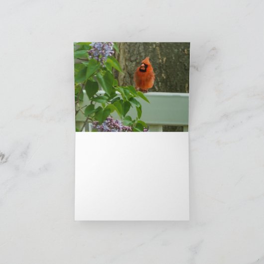 Lilacs in de lente kaart (Binnen)