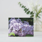 Lilacs in Full Bloom Briefkaart (Staand voorkant)