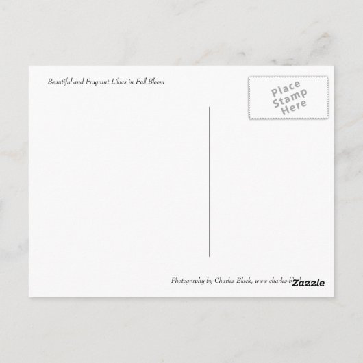 Lilacs in Full Bloom Briefkaart (Achterkant)