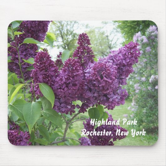 Lilacs in Highland Park Muismat (Voorkant)