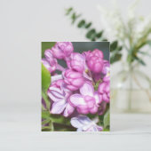 Lilacs in Oregon Briefkaart (Staand voorkant)