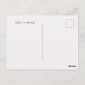 Lilacs in Spring Briefkaart (Achterkant)