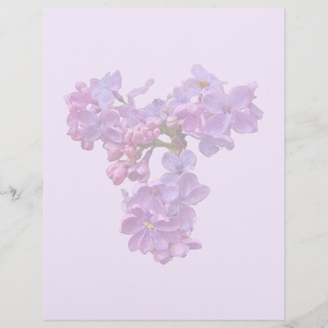 Lilacs in Springtime (Voorkant)