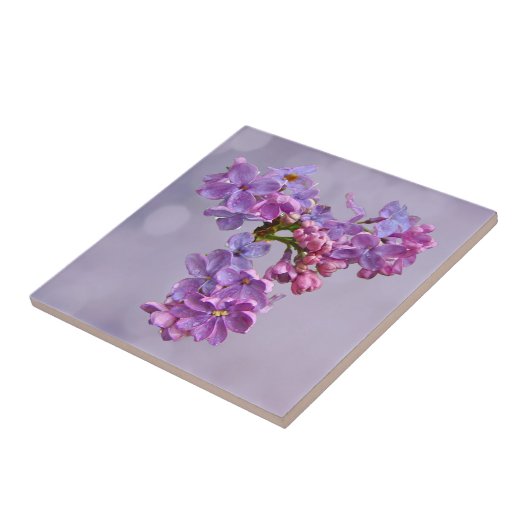 Lilacs in Springtime Tegeltje (Zijkant)
