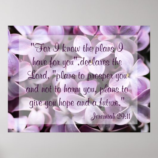 Lilacs Jeremiah 29:11 Poster (Voorkant)