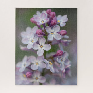 Lilacs Jigzaag Puzzle Legpuzzel